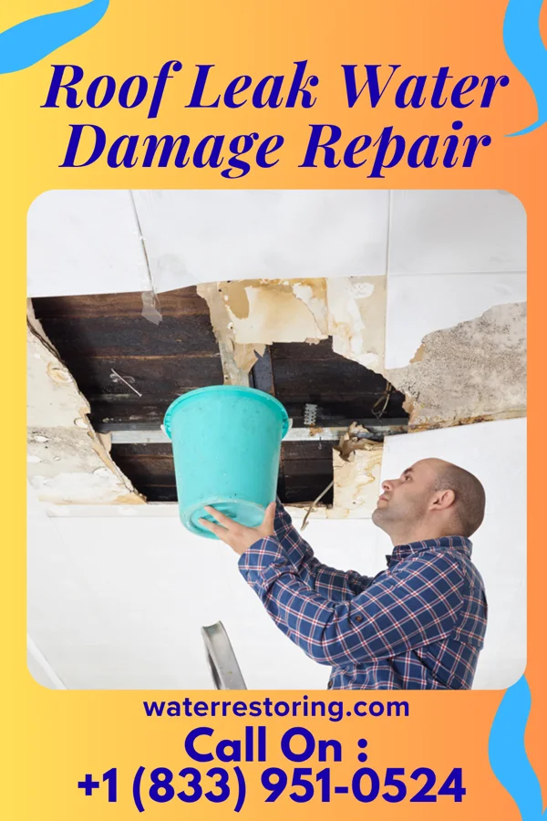 Roof Leak Water Damage Repair in Rochester, KY
