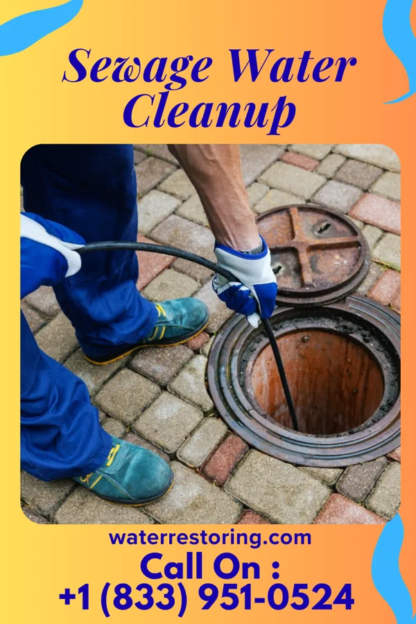 Sewage Water Cleanup in Rochester, KY