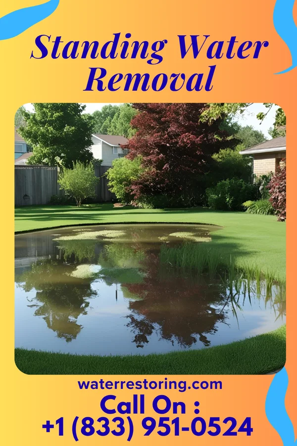 Standing Water Removal in Rochester, KY
